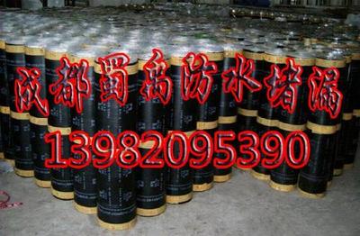 成都防水堵漏服务指南 解决漏水困扰的专业选择