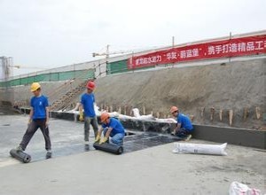 苏州（吴江）弘祥防水堵漏哪家好？屋顶防水堵漏全解析